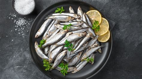 Sardines Fish Facts .